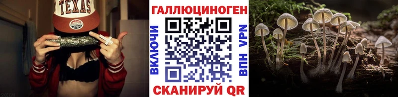Псилоцибиновые грибы мухоморы  продажа наркотиков  Мураши 