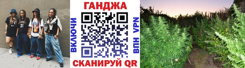 мега вход  Мураши  Бошки Шишки сатива 